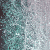 003_FLM_060.gif